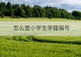 怎么查小学生学籍编号(怎么查小学生学籍编号查询)