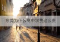 东莞为什么高中学费这么贵(东莞高中升学率为什么那么低)